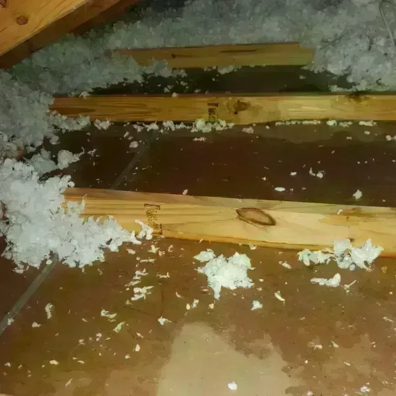 Attic Water Damage in Byram, MS